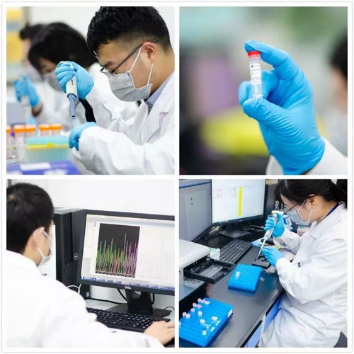 請把我的請假條撕掉吧