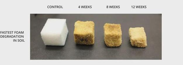 加州生物基公司新發(fā)論文植物基微塑料7個(gè)月內(nèi)可完全生物降解
