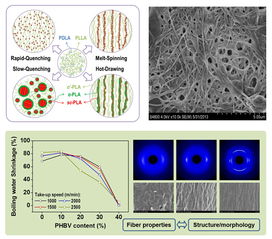 寧波材料所生物基化學纖維制備技術研究獲系列進展