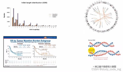 生物基礎 多組學聯合分析