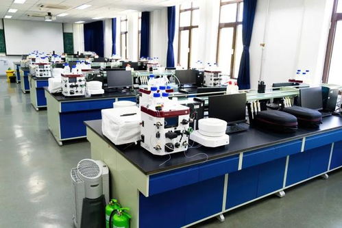 藏在清華教學樓里的 動物世界