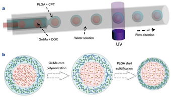 生物材料的多樣性和dds設計 藥物傳遞系統 ?？瘓D文詳解