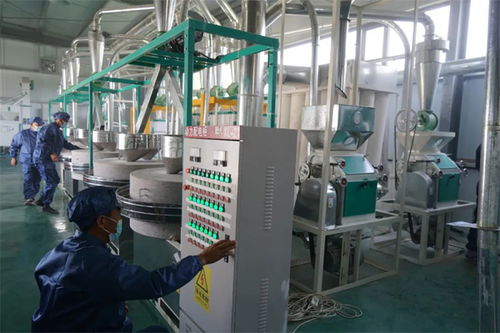 長子縣西王坡東村 傳統工藝 磨 出鄉村振興致富路