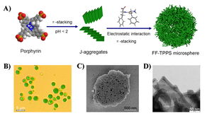 過程工程所等在自組裝生物分子材料研究上獲進(jìn)展
